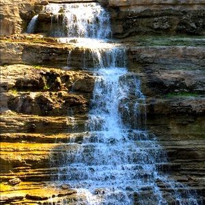 Meet your Posher, Patty